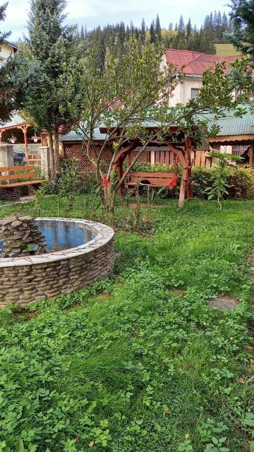 Casa Cu Lavanda Vatra Dornei Esterno foto