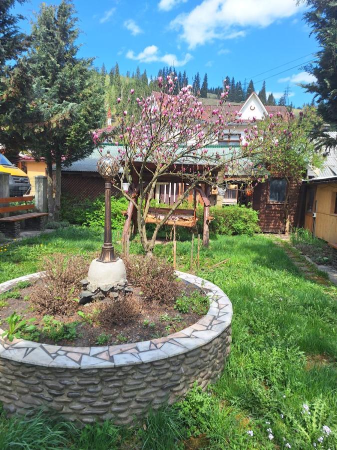 Casa Cu Lavanda Vatra Dornei Esterno foto
