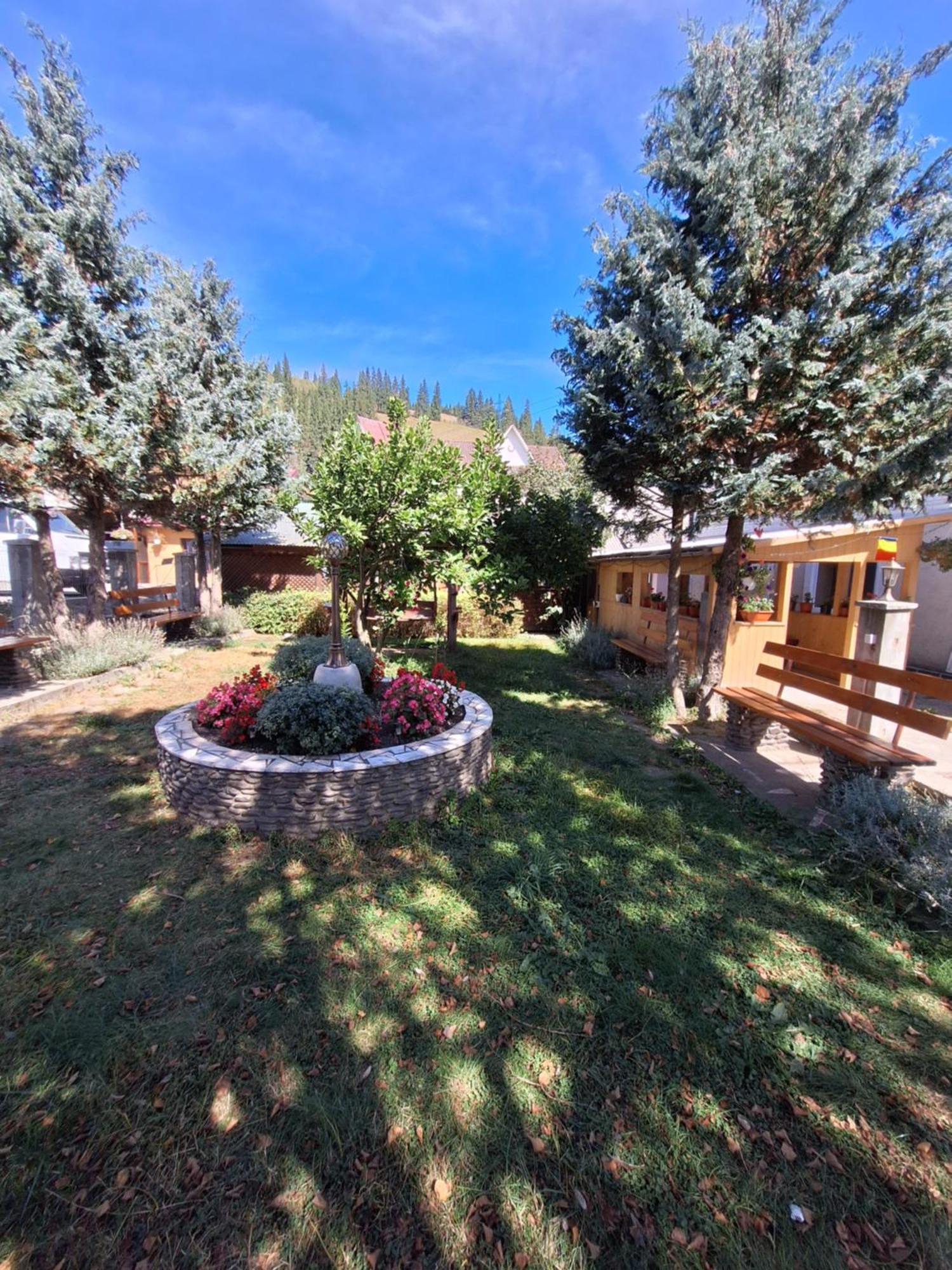 Casa Cu Lavanda Vatra Dornei Esterno foto