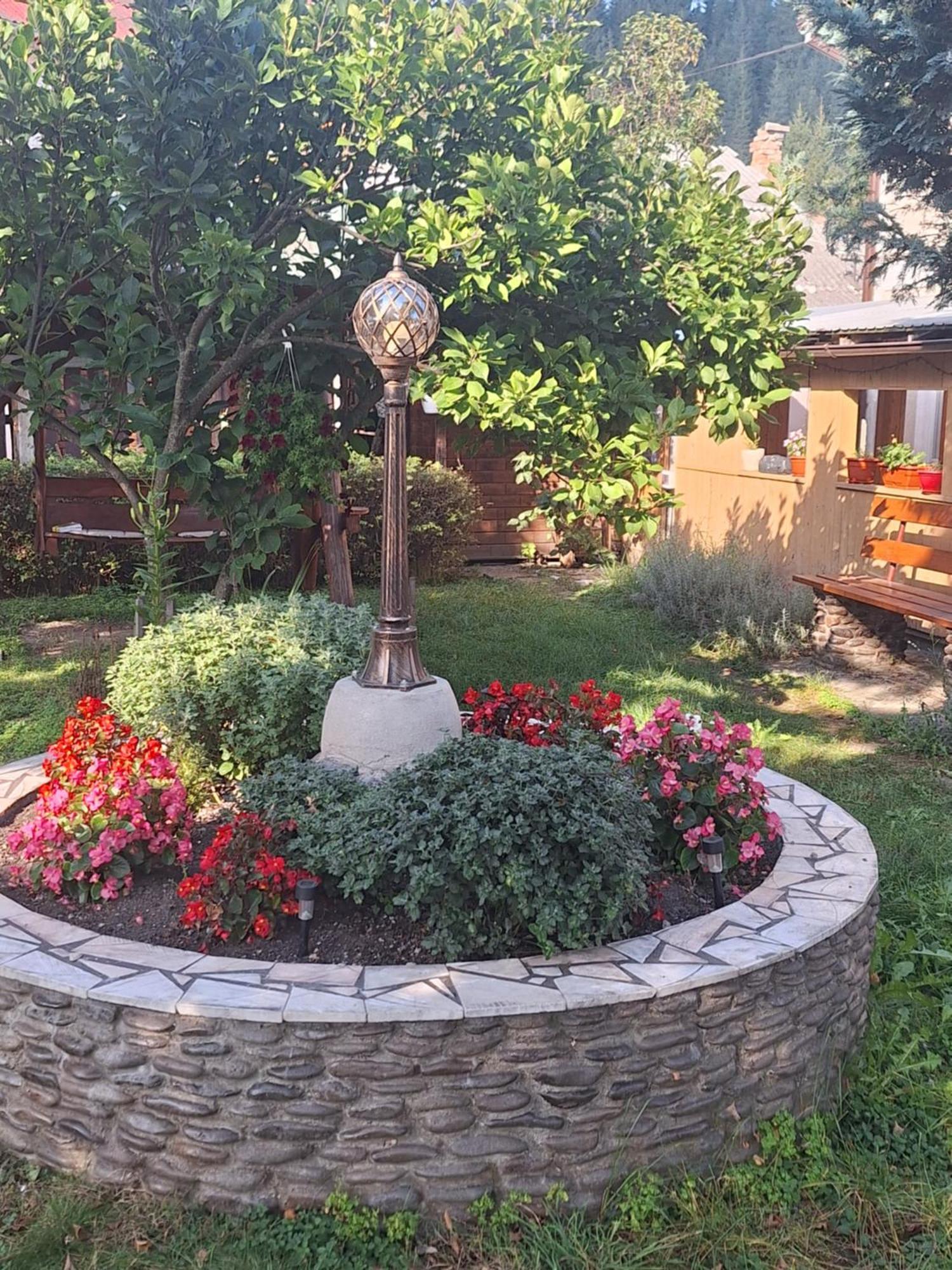 Casa Cu Lavanda Vatra Dornei Esterno foto